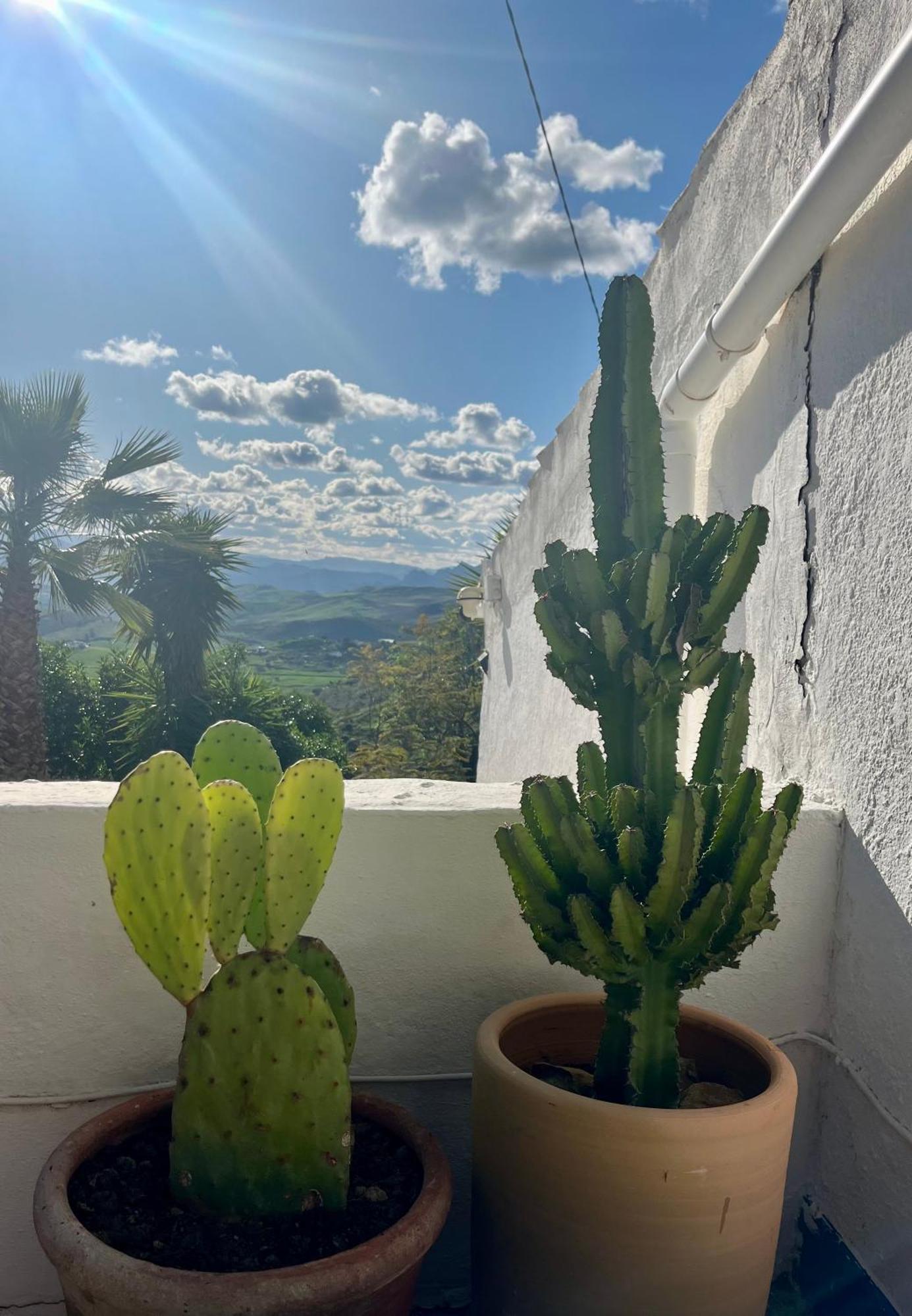 Finca El Sueno Andaluz Villanueva de la Concepción Buitenkant foto